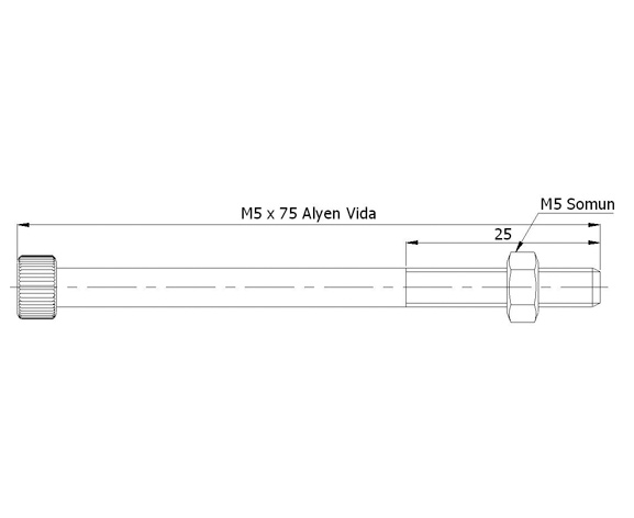 M-5* Allen Screw